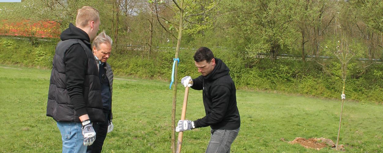 Die Teilnehmer griffen zu Schaufel und Handschuh und pflanzten neue Obstbäume.