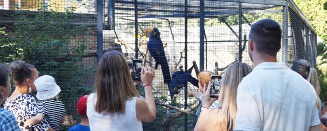 Beim Nachhaltigkeitstag im Tiergarten Straubing bekamen die Besucher spannende Führungen über das Gelände.