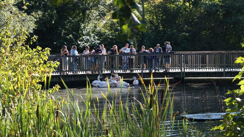Beim Nachhaltigkeitstag im Tiergarten Straubing bekamen die Besucher spannende Führungen über das Gelände.