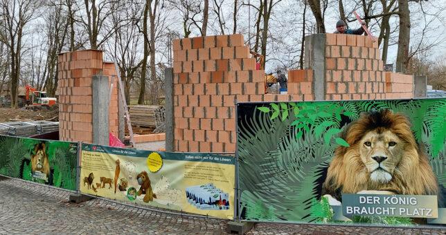 Neues Löwengehege im Tierpark Straubing