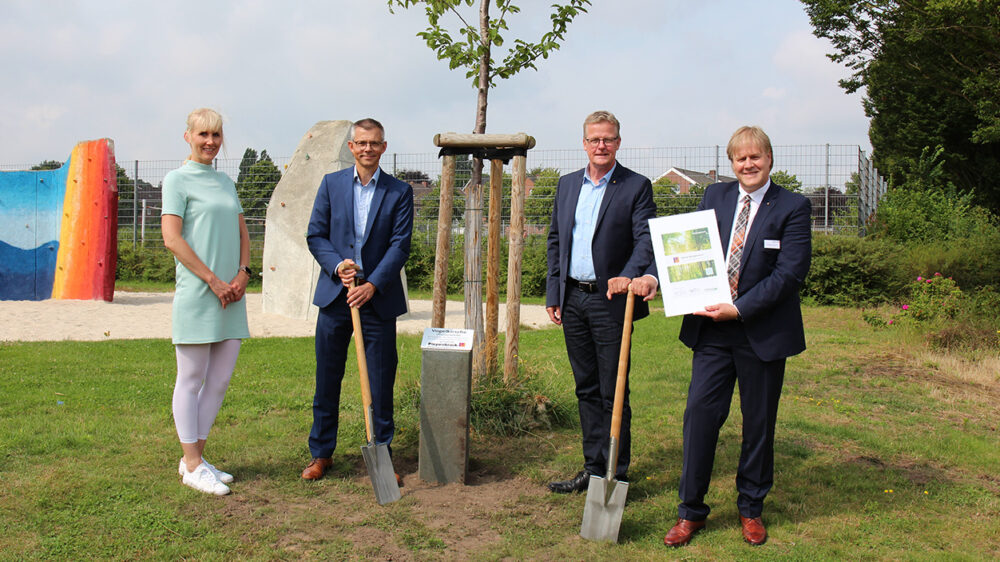 Neuer Baum in Rheine von Piepenbrock
