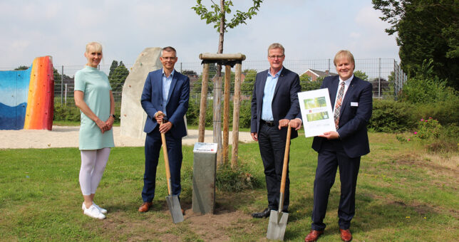 Neuer Baum in Rheine von Piepenbrock