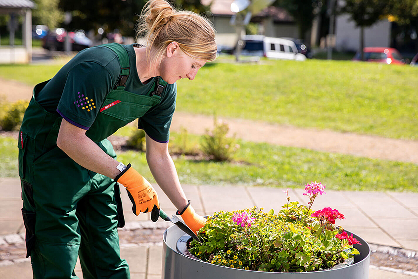 Mitarbeiterin der Grünflächenpflege bepflanzt einen Blumentopf