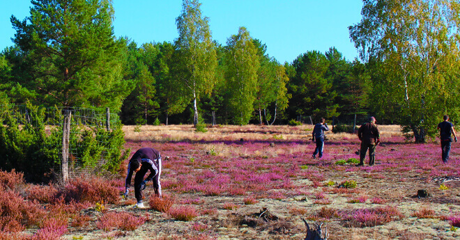 Auszubildende in der Heide